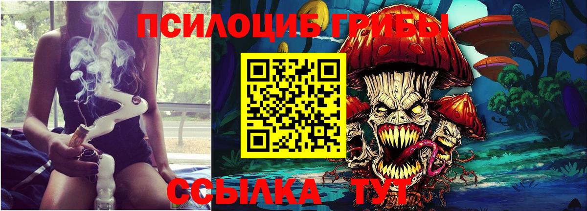 Псилоцибиновые грибы мицелий  Вход с VPN  Баксан 